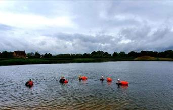 Members of Blackwater Triathlon club open water swimming in a large lake