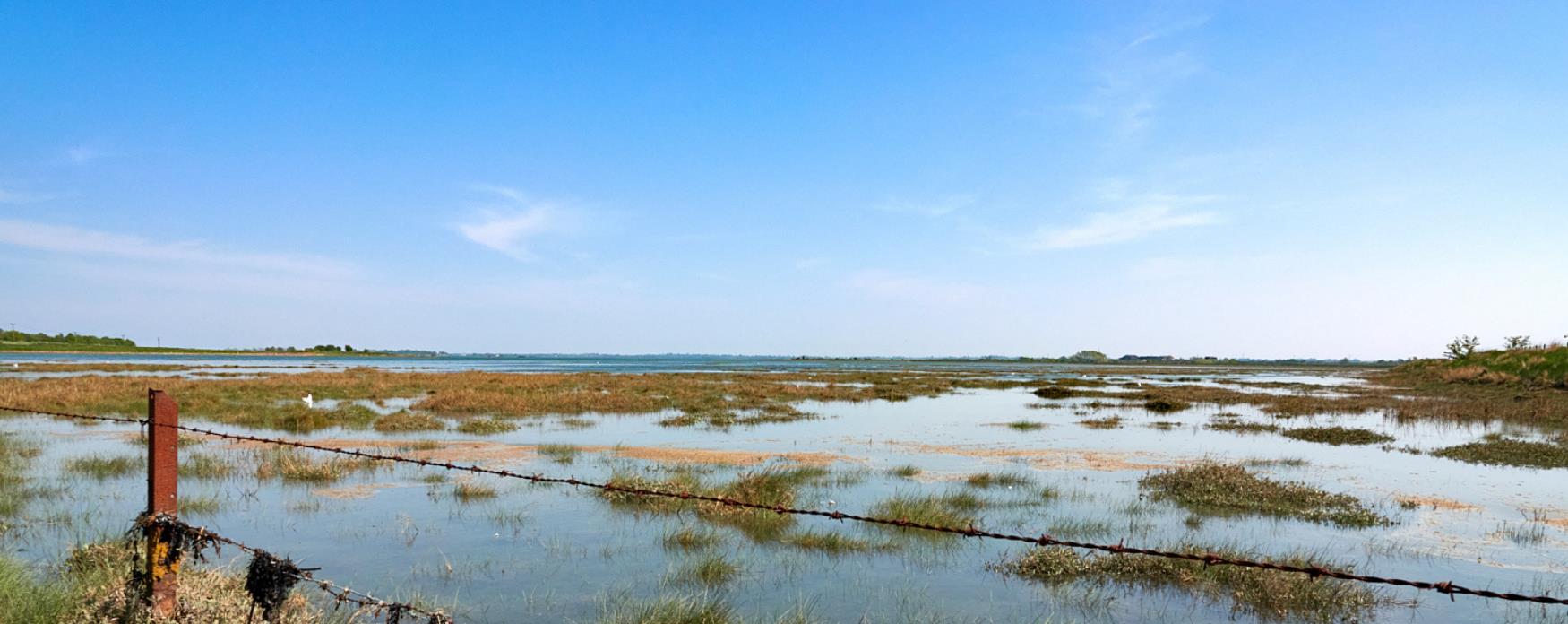 Blackwater Estuary Nature Reserve