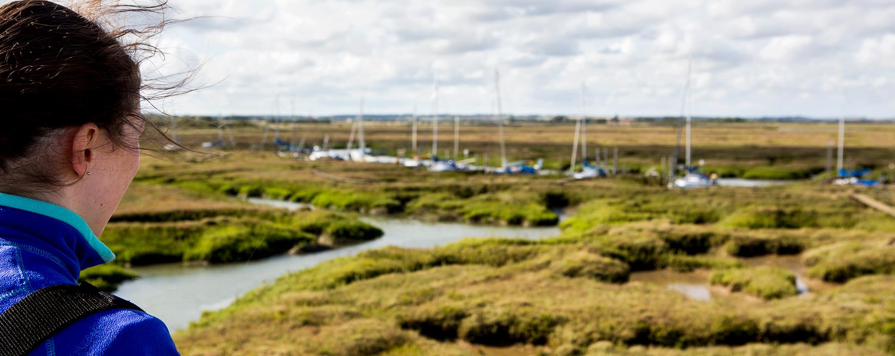Saltmarsh Coast
