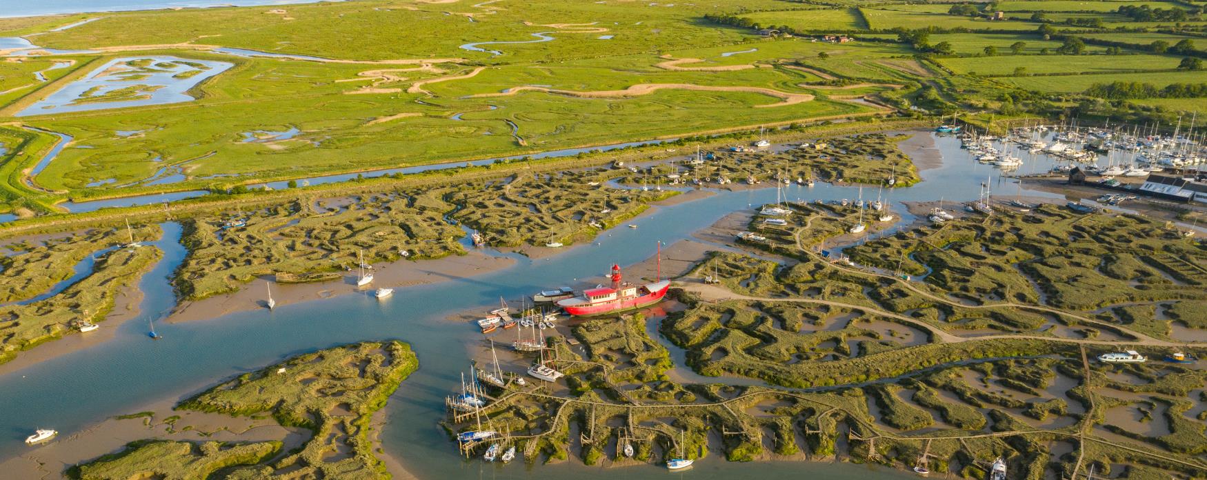 Saltmarsh Trail