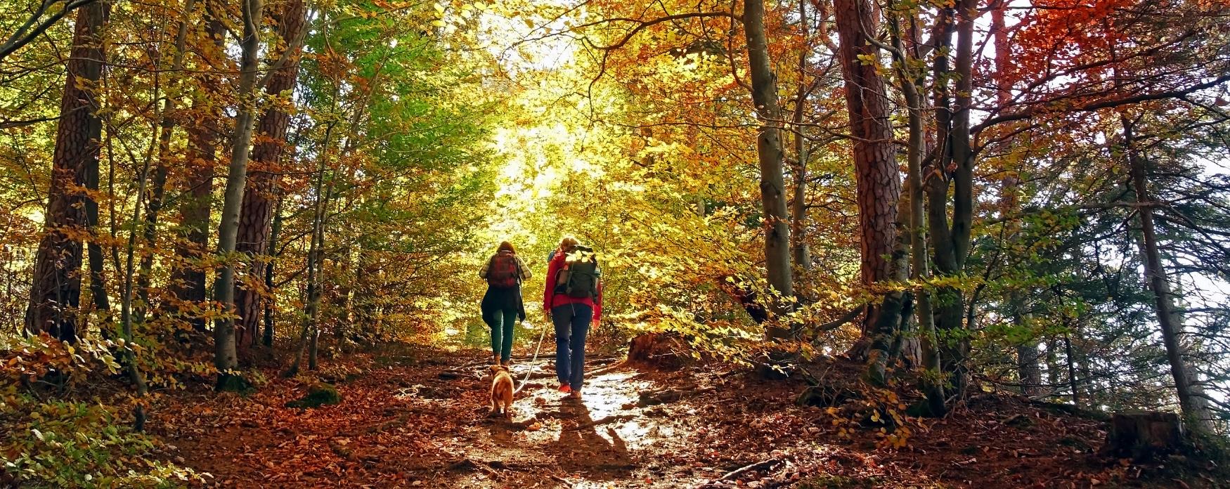 Walking