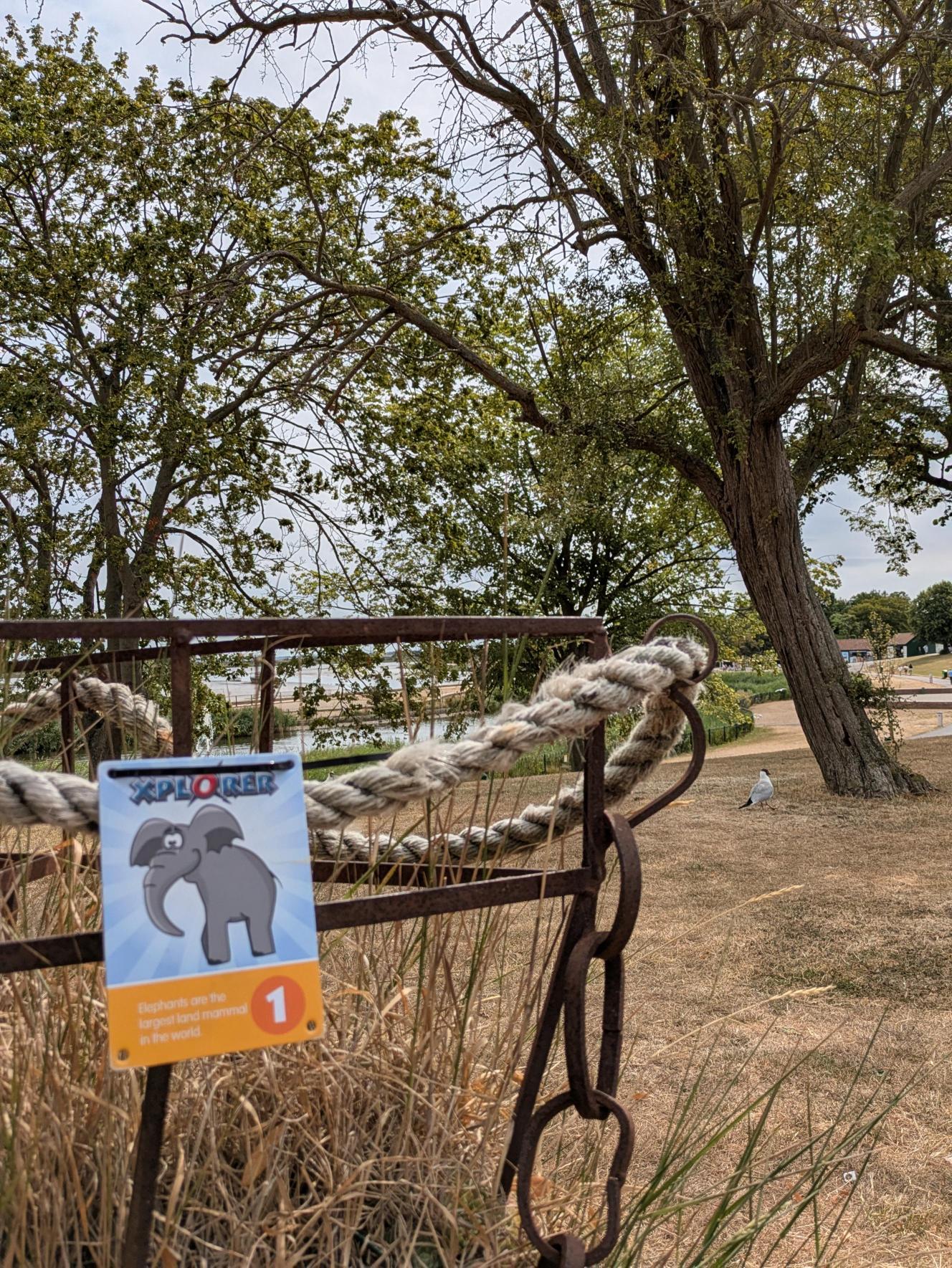 An example of one of the tags that can be found in Promenade Park. The treeline to the background of the image.