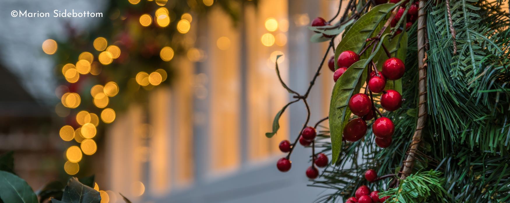 Holly and pine leaves against a unfocussed fairy light lit building