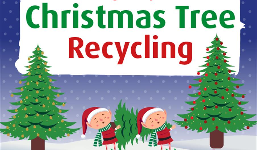 ChristmasTreeRecycling