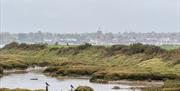 Maldon seen from Heybridge, with misty early morning light and birds