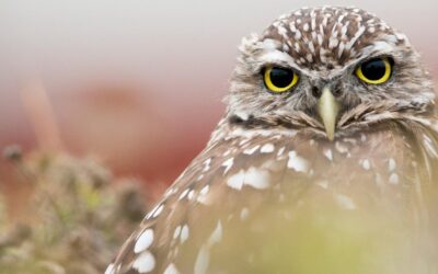 Half-Term Family Nature Day